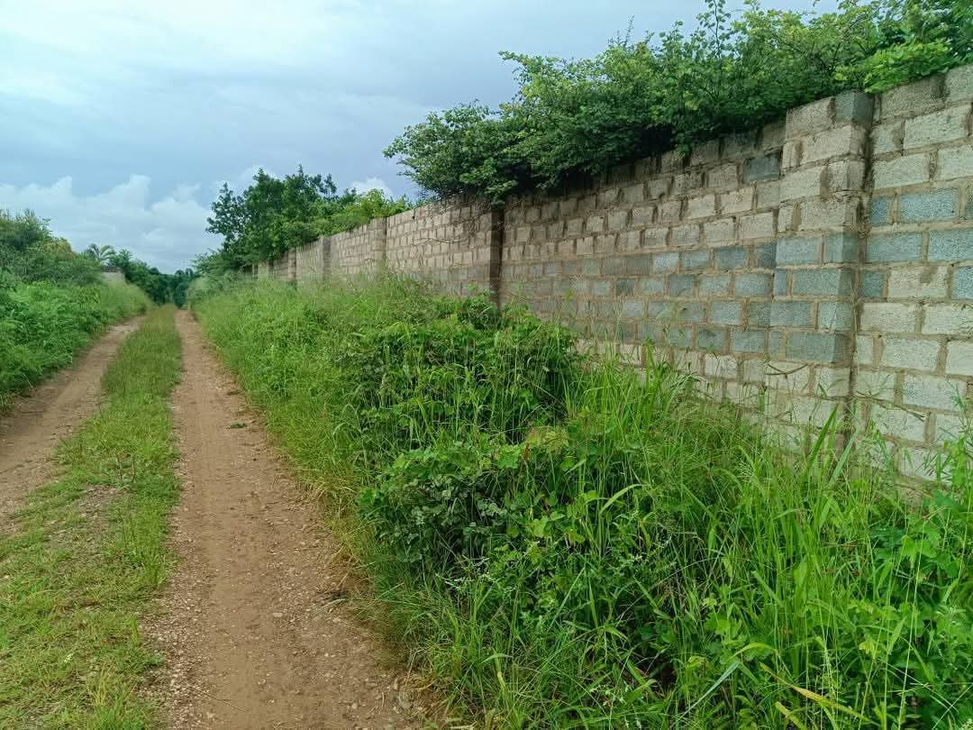 2 Acres Land for sale in Makeni Konga